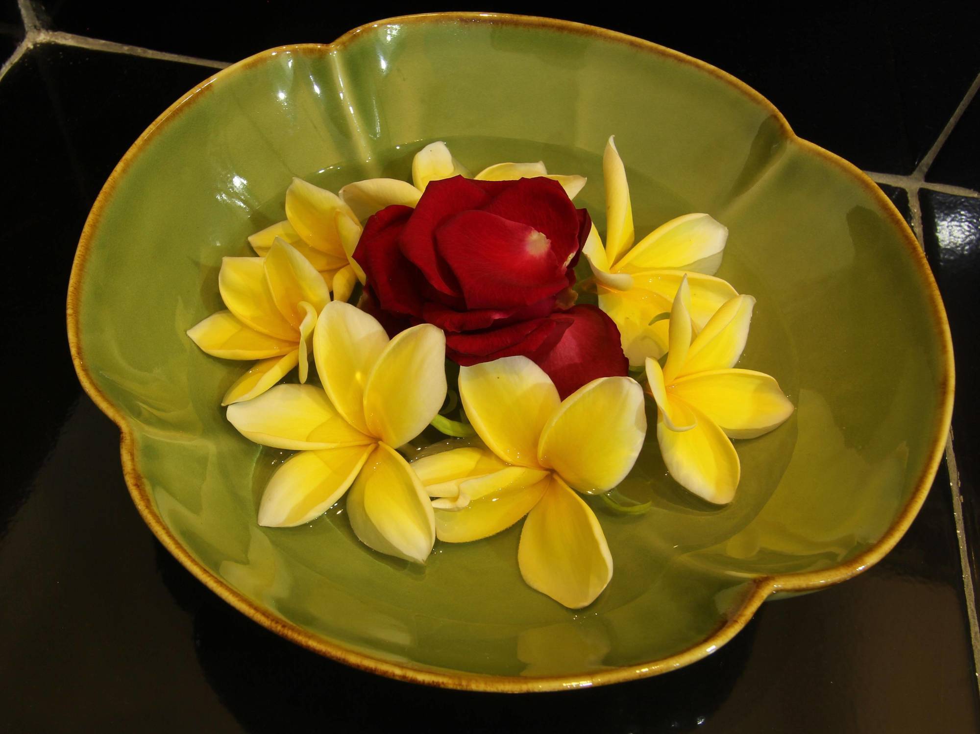 Frangipani Homestay Nusa Dua  Dış mekan fotoğraf