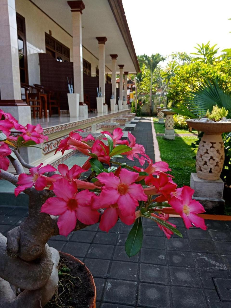Frangipani Homestay Nusa Dua  Dış mekan fotoğraf